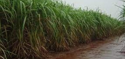 Quais os alertas meteorológicos para hoje?