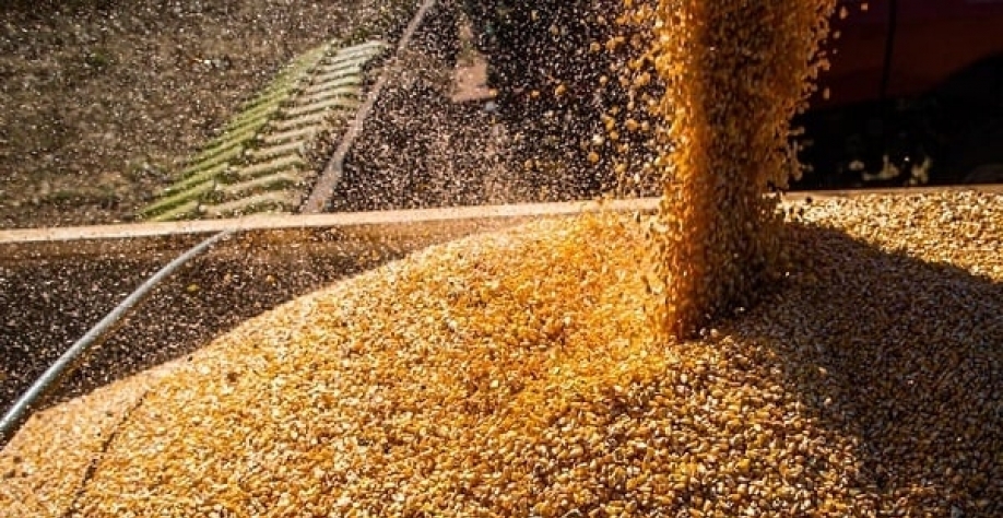 Foto: CNA/divulgação