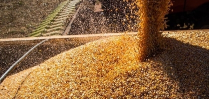 VBP do agro chega a R$ 1,32 trilhão em 2022