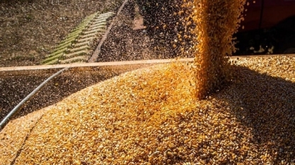 VBP do agro chega a R$ 1,32 trilhão em 2022