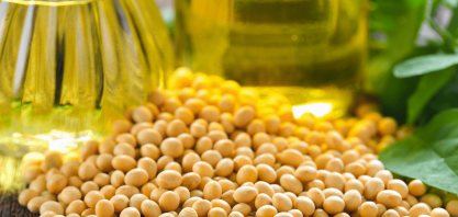 Índia suspenderá isenção para importação de óleo de soja a partir de 1º de abril
