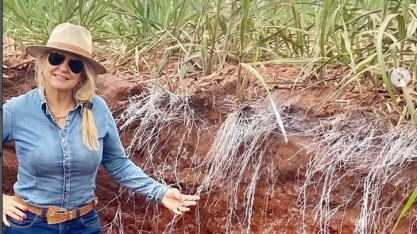 Inês Janegitz será uma das personagens do livro “Mulheres da Cana-de-Açúcar”