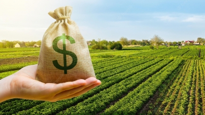 FIAGRO FIDC: como as empresas e cooperativas podem utilizar a ferramenta da melhor forma para o financiamento de insumos?