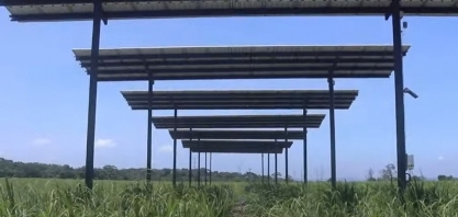 Pesquisa inédita testa viabilidade da geração de energia solar em usina alagoana