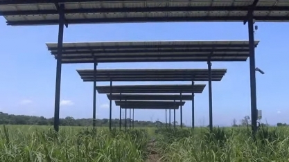 Pesquisa inédita testa viabilidade da geração de energia solar em usina alagoana