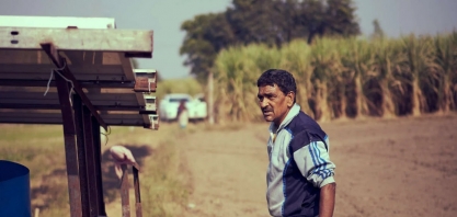 Açúcar: depois de inverter a tabela, NY segue em pressão mesmo com ‘fake news’ altista da Índia