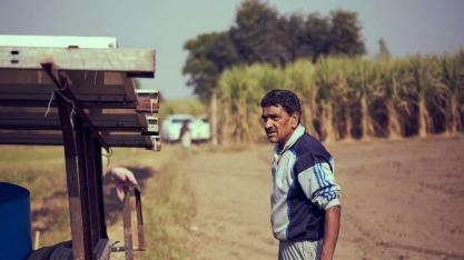 Açúcar: depois de inverter a tabela, NY segue em pressão mesmo com ‘fake news’ altista da Índia