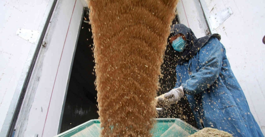 As tarifas antidumping estão entre 42,2% e 53,7%, enquanto as tarifas anti-subsídios variam de 11,2% a 12% (Imagem: REUTERS/Stringer)