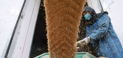 China estende tarifas antidumping sobre grãos de destilaria dos EUA por 5 anos