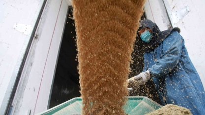 China estende tarifas antidumping sobre grãos de destilaria dos EUA por 5 anos