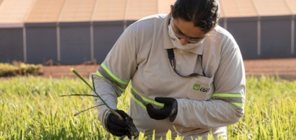Pelo segundo ano consecutivo, Cocal recebe o selo de “Excelente Lugar para Trabalhar”