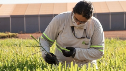 Pelo segundo ano consecutivo, Cocal recebe o selo de “Excelente Lugar para Trabalhar”