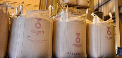 Raízen tem 363 vagas para safristas em Araraquara, Ibaté e Brotas; saiba como se candidatar