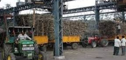 Para produzir etanol, Índia mantém fabricação de açúcar ´estável´