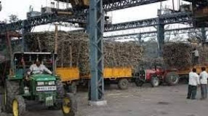 Para produzir etanol, Índia mantém fabricação de açúcar ´estável´