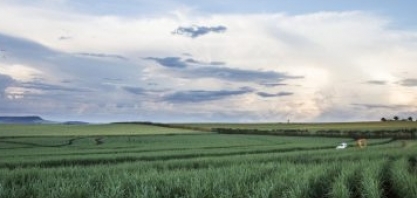 Moagem de cana na Paraíba atinge mais de cinco milhões de toneladas nos primeiros 15 dias do ano