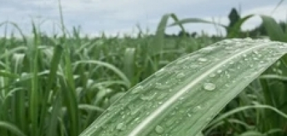 Previsão do tempo para hoje: risco de transtornos por causa da chuva