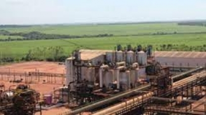 Raízen projeta elevar sua moagem de cana para 80 mi t em 2023/24, diz CEO