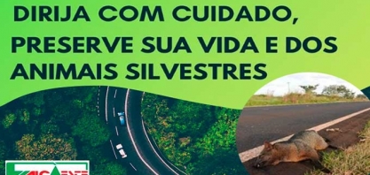 Alcoeste realiza monitoramento de fauna em áreas agricultáveis