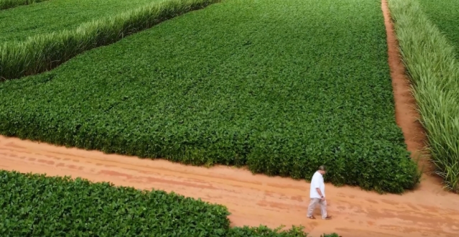 José Eugênio investe no sistema meiose (cana e soja). Foto: Reprodução Canal Rural