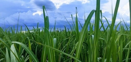 Feira do setor sucroenergético já tem 83 expositores confirmados