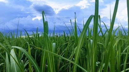 Feira do setor sucroenergético já tem 83 expositores confirmados