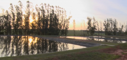 Tratamento dos efluentes por meio de biodigestores pode gerar energia limpa