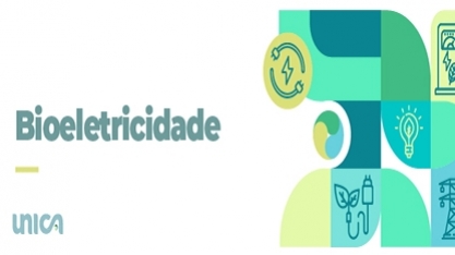 Webinar UNICA e COGEN: Cenários no Mercado de Energia Elétrica (16/03, das 10h às 12h)