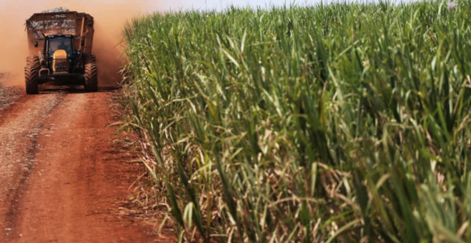 Em 2021/22, a Tailândia produziu 10,15 milhões de toneladas de açúcar, moeu 92,07 milhões de toneladas de cana e exportou 7,69 milhões de toneladas de açúcar (Imagem: REUTERS/Nacho Doce)