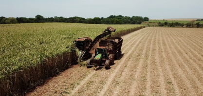 Boletim técnico traz ranking de moagem de cana em MS