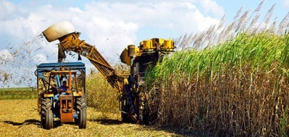 Safra 22/23 deve seguir até abril com expectativa de moer 20 mi de toneladas de cana