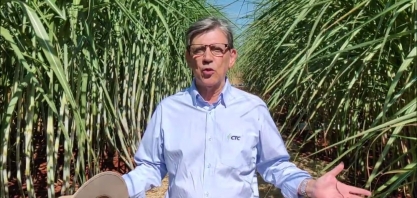 Uso de biossoluções em canaviais BT garante incrementos de produtividade, qualidade e rentabilidade