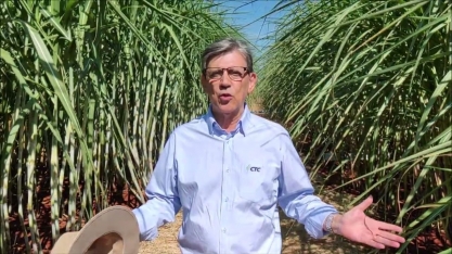 Uso de biossoluções em canaviais BT garante incrementos de produtividade, qualidade e rentabilidade