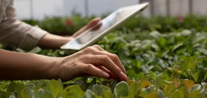 Parceria de Bayer e Microsoft desenvolve soluções em nuvem para inovação e transparência na indústria agroalimentar
