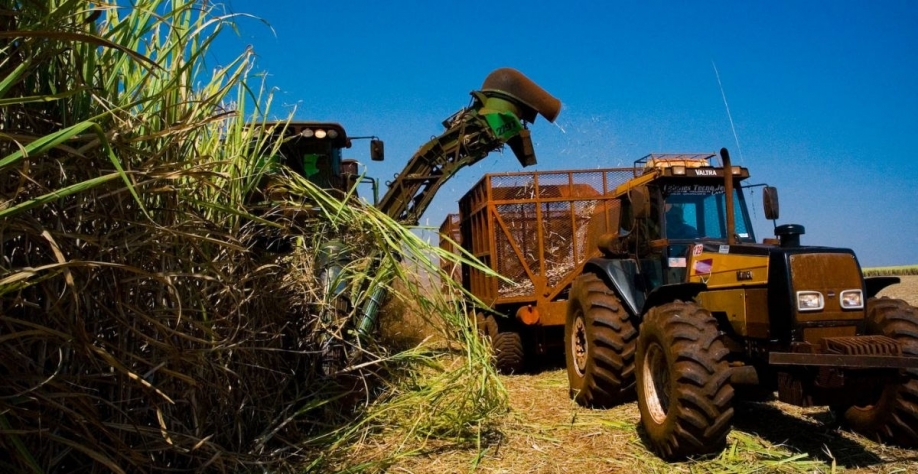 A safra de cana-de-açúcar 2022/23 deve registrar crescimento de 5,8% em MG | Crédito: Divulgação