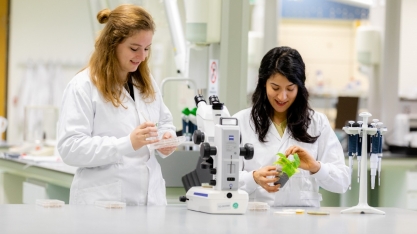 A Koppert é patrocinadora do 11º Encontro Cana Substantivo Feminino