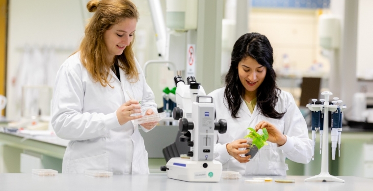 A Koppert é patrocinadora do 11º Encontro Cana Substantivo Feminino