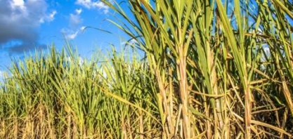 Asplana: ATR do mês de Março!