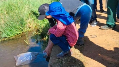 Tietê Agroindustrial solta 2 mil peixes alevinos no Córrego da Cachoeira