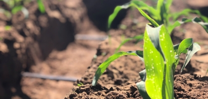 A irrigação como agente mitigador da seca no sul do Brasil