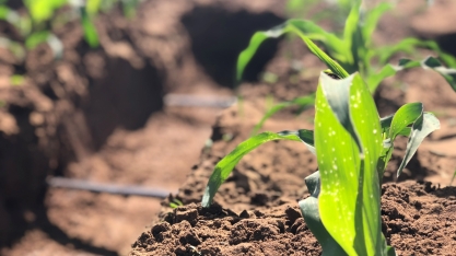 A irrigação como agente mitigador da seca no sul do Brasil