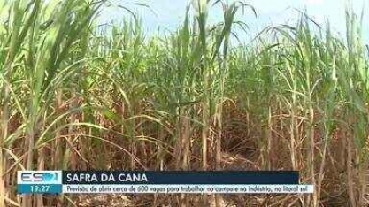 Colheita da cana gera empregos no ES; maior usina do ES começa processo de contratação