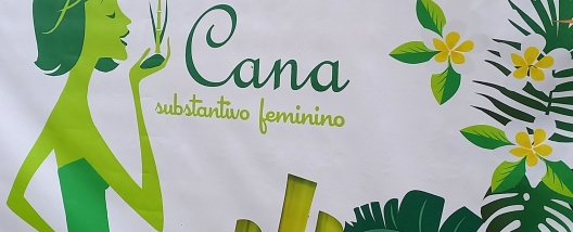 11º Encontro Cana Substantivo Feminino: um evento em que as mulheres do setor se sentem valorizadas
