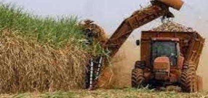 Valor bruto da produção agropecuária deve ser 5% maior em 2023 e atingir R$ 1,249 trilhão, diz Agricultura