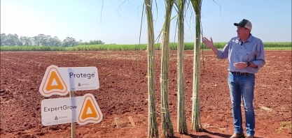 Biossoluções da ADAMA garantem bom desenvolvimento do canavial