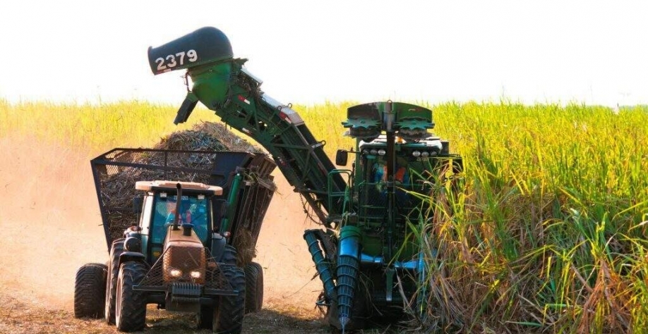 Colheita de cana em propriedade rural sul-mato-grossense; Nova Alvorada do Sul é segundo maior produtor de cana do Brasil. (Foto: Arquivoi/Biosul)