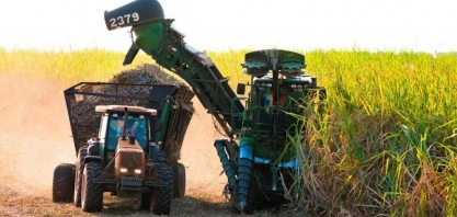 Embrapa levará tecnologias para a Expocanas, em Nova Alvorada do Sul