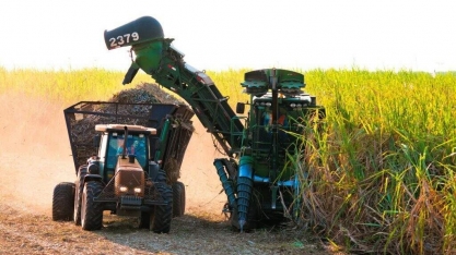 Embrapa levará tecnologias para a Expocanas, em Nova Alvorada do Sul