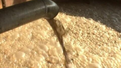 Tecnologia pode aumentar a produção de etanol