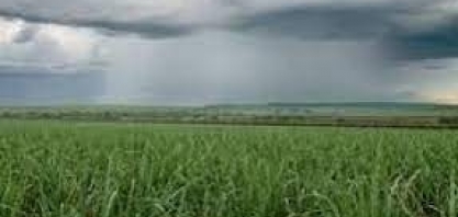 Previsão do tempo: março acaba com frente fria, temporais e granizo